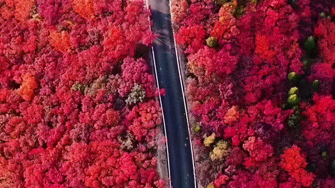 打造地方特色文旅项目,重磅打造的文旅项目