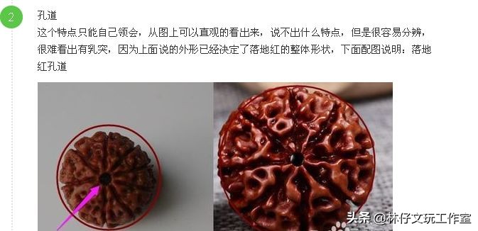 尼泊尔大金刚与落地红的简单区别,印尼大金刚就是落地红吗