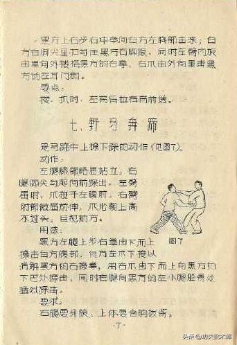 少林十三抓拳谱,古传拳经拳法秘要手抄本