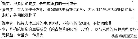 人教版七年级下册《生物》知识点总结，在家自学必备