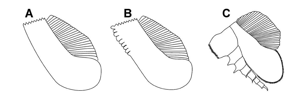 奇虾的故事1：恐虾首霸