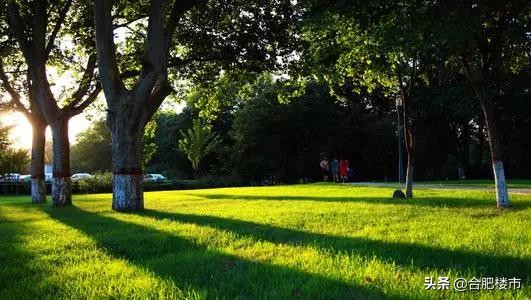 合肥北城4.0时代,最新北城新区消息