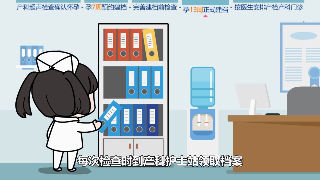 科普怀孕过程纪录片,科普动画怀孕