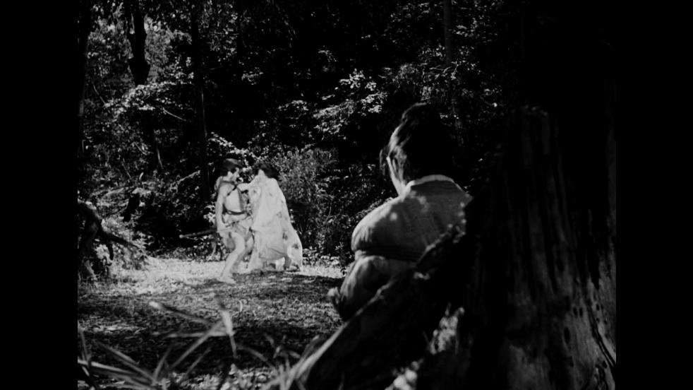 黑泽明的罗生门的真相到底是什么,谈谈黑泽明罗生门及其电影概念