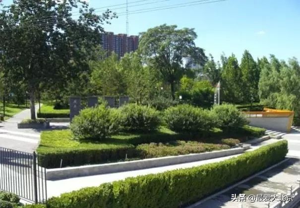 双井在干啥呢,双井现状