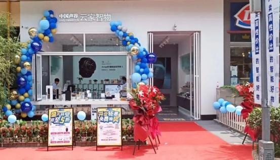 中国声谷营销,中国声谷总经理