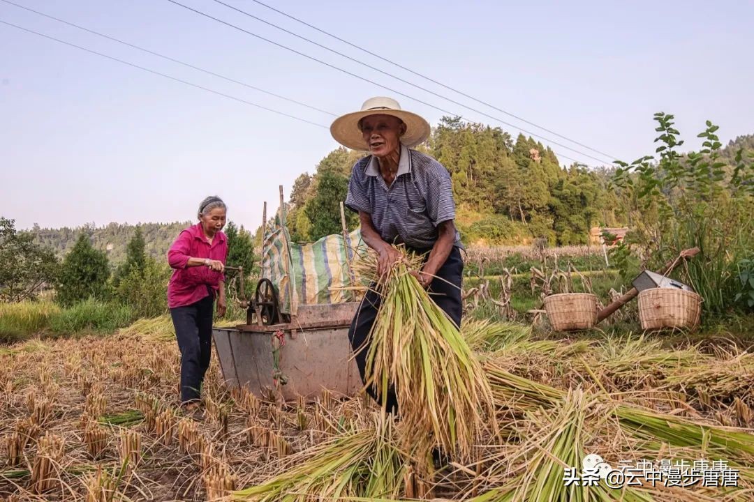 四川岳池黄龙水库,岳池黄龙杨家沟水库