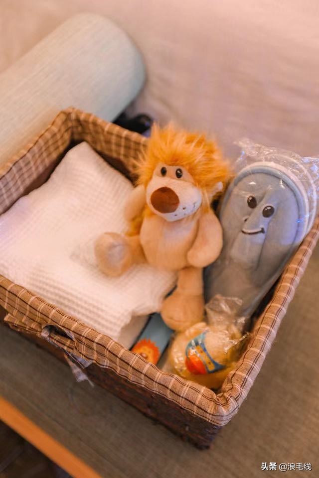 三亚丽思卡尔顿可以参观吗,三亚丽思卡尔顿适合带孩子吗