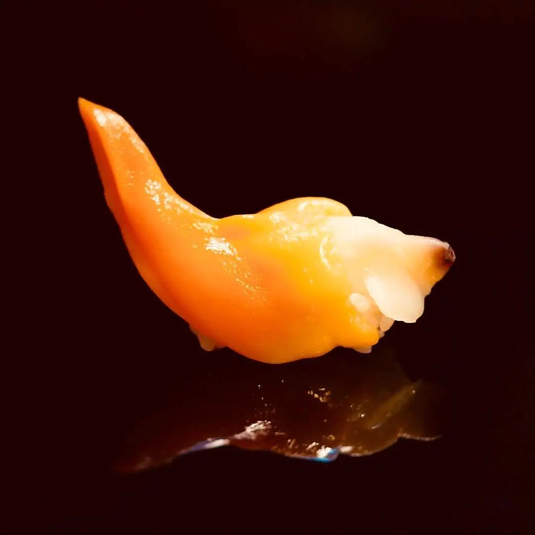 蛤蜊蚶子蛏子区别,蛏子海螺牡蛎蛤蜊