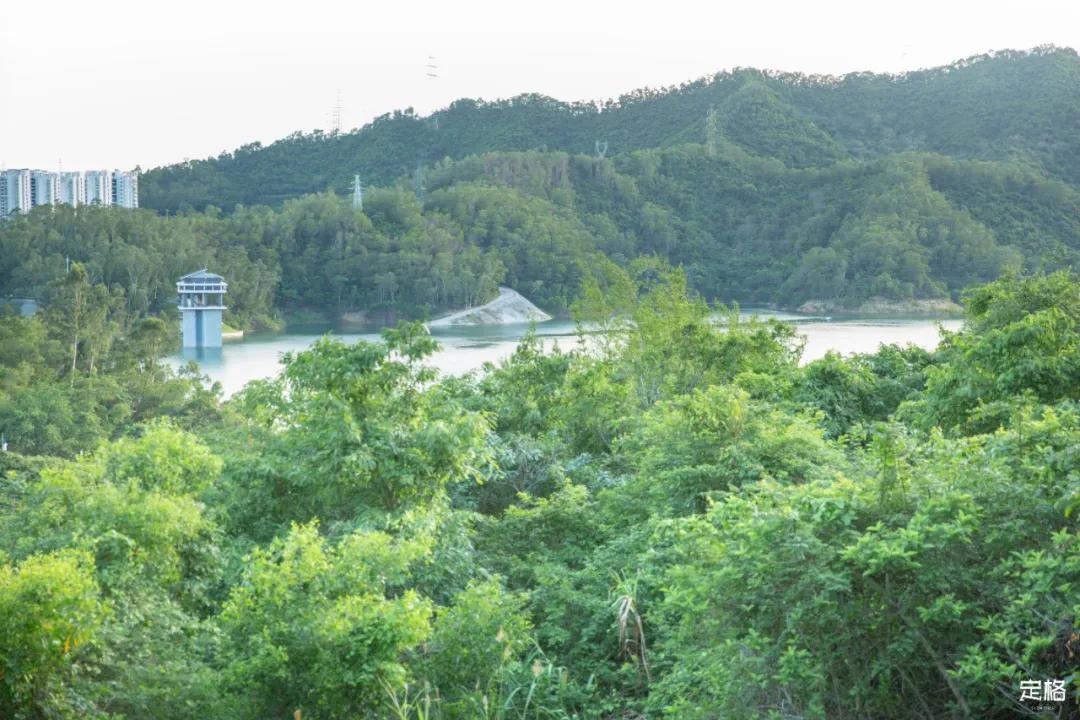 深圳梅林水库有山溪吗,深圳梅林水库在哪个区