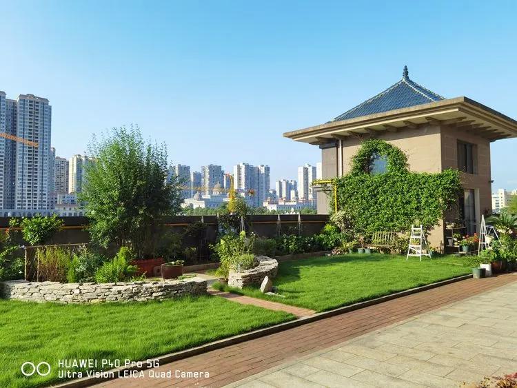 第七届园丁奖,第六届园丁奖奖励