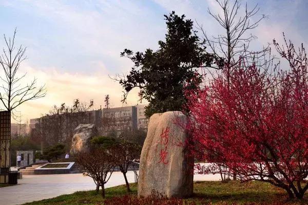 这8位公司董事长，都在西安上大学，全部来自同一所高校