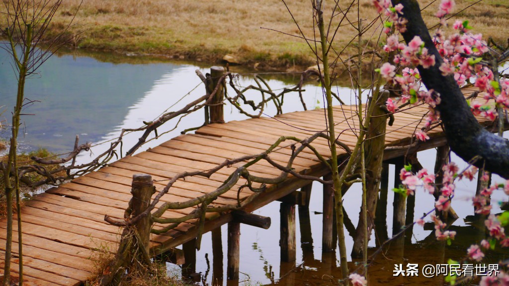 云南普者黑元阳坝美6天旅游攻略,云南建水普者黑旅游路线