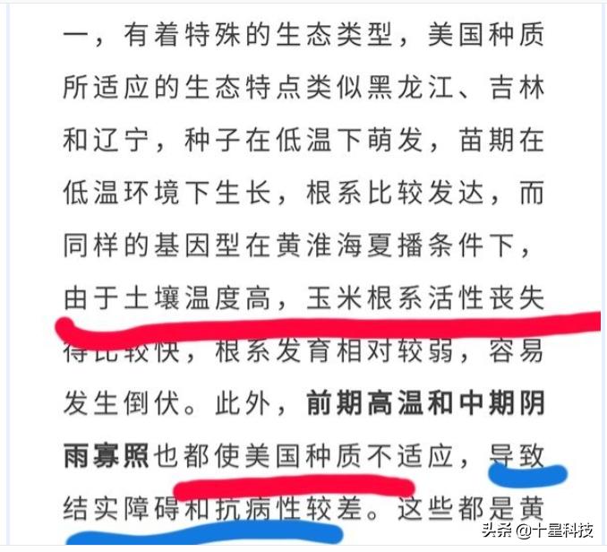 玉米不一样的品种可以混播吗,玉米混播高产吗