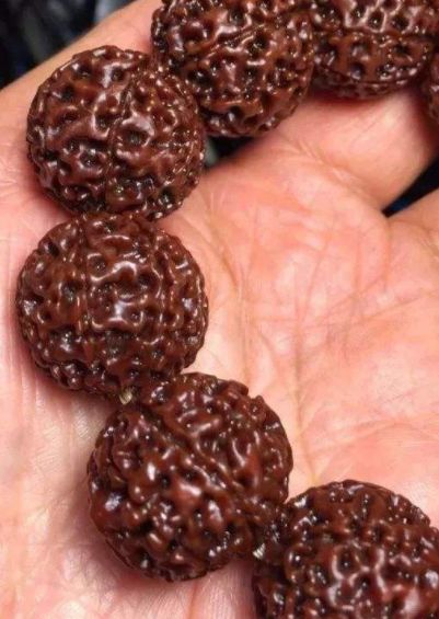 金刚菩提黑红色怎么回事,钢丝刷把金刚菩提刷黑了