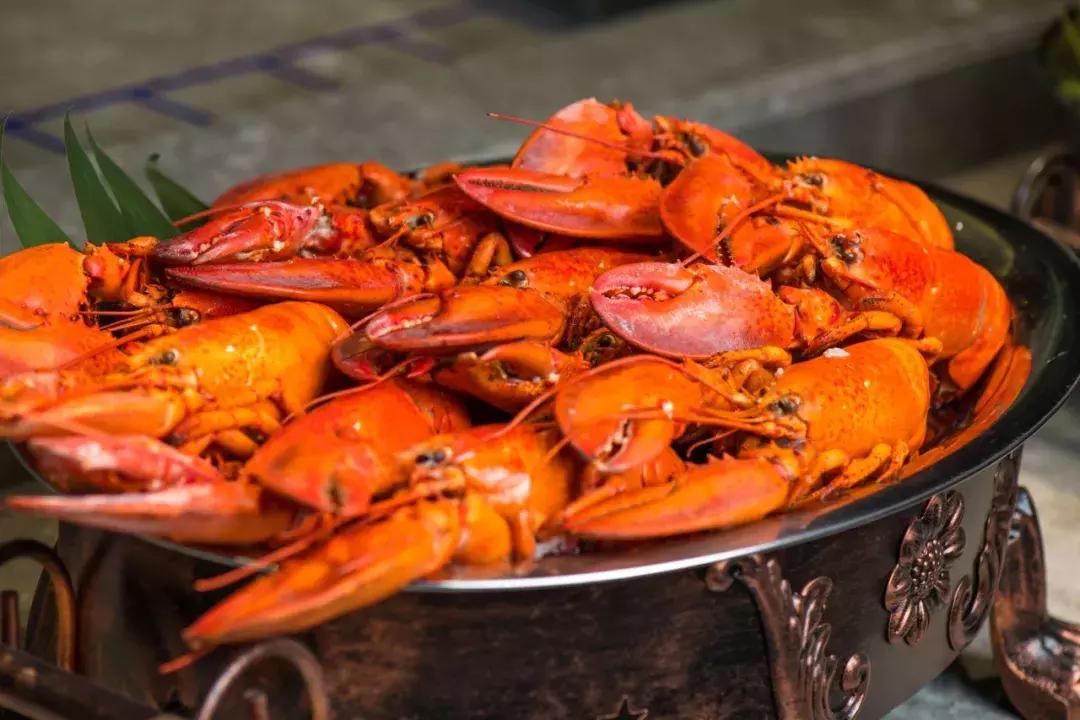 帝王蟹自助在哪里吃比较好,帝王蟹随便吃后续