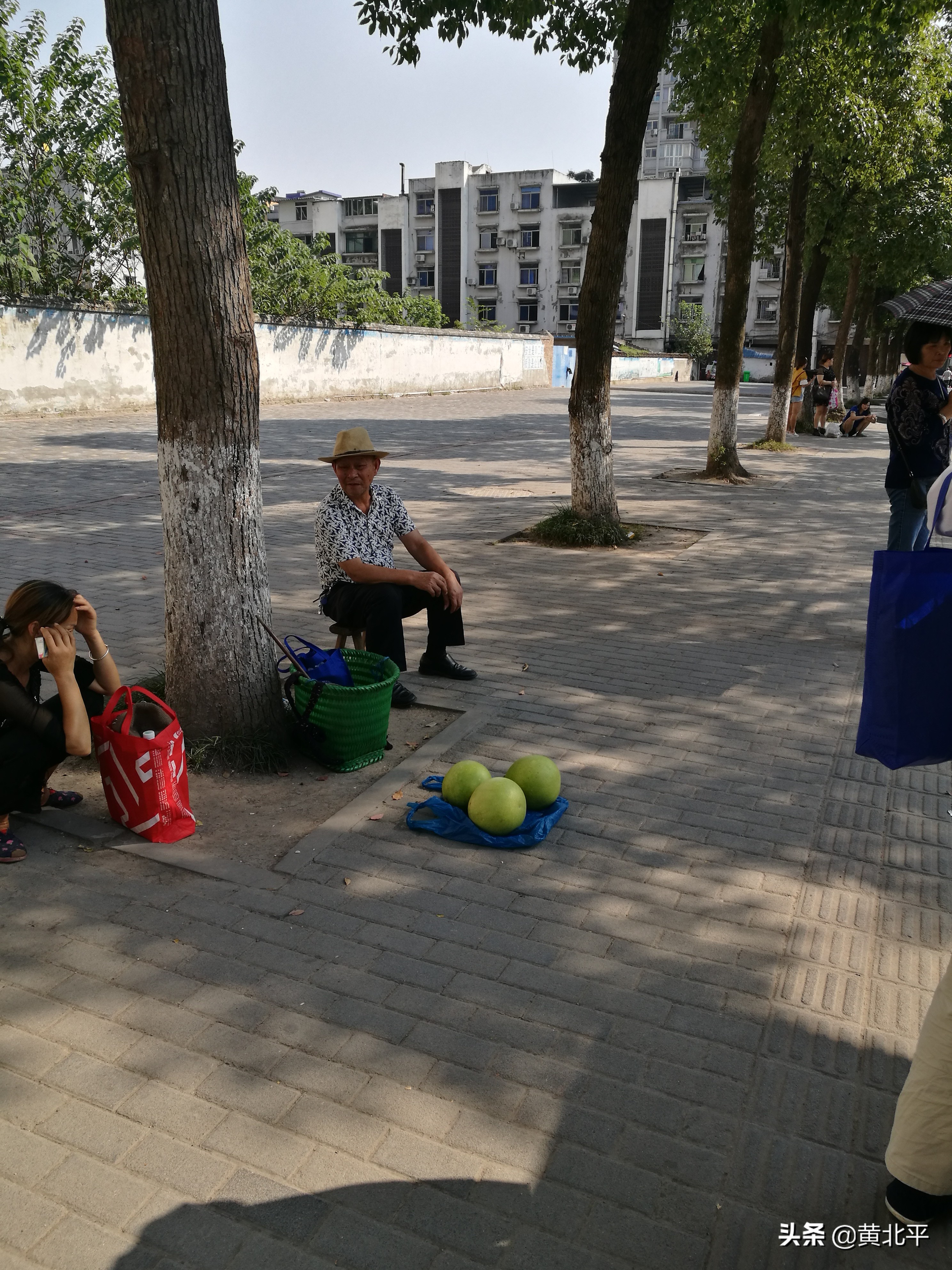 重庆市九龙坡区西彭镇规划,重庆市九龙坡区西彭镇人口