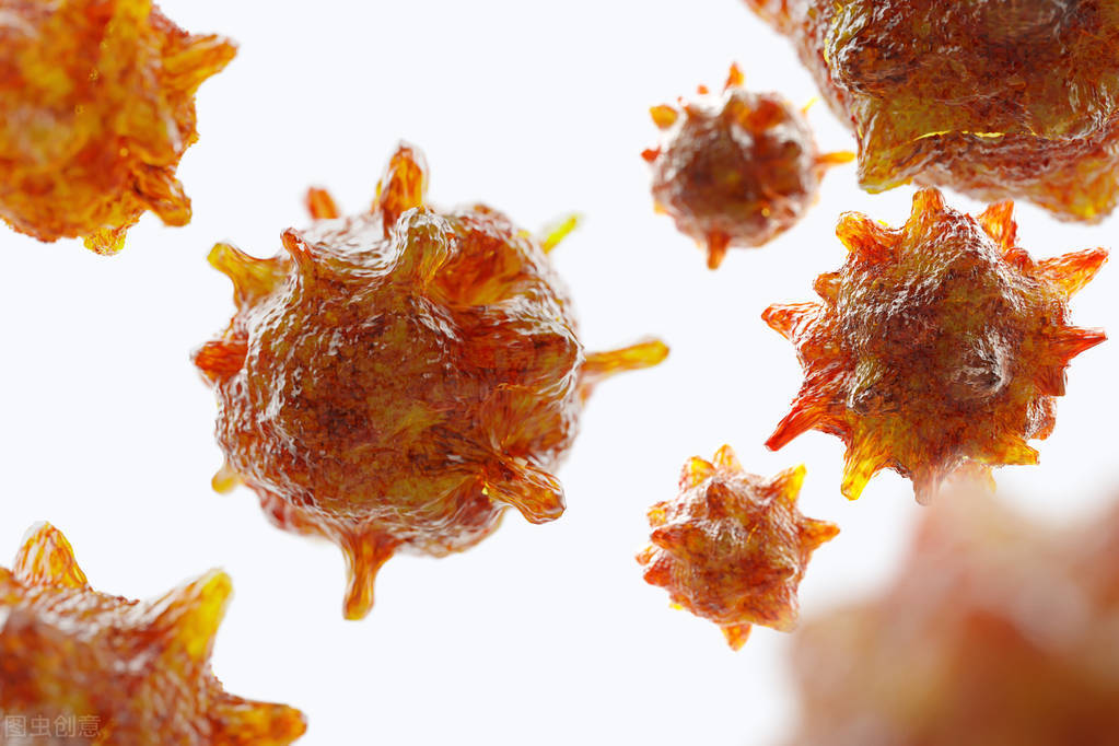 hpv的高危型有哪几种,hpv高危分型是什么意思