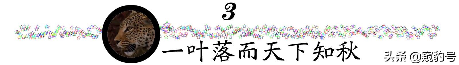 左传人谁无过,左传人谁无过怎么读