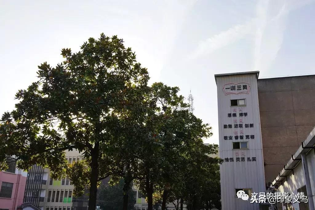 义乌稠城三小与福田小学,义乌市稠城第三小学老校区