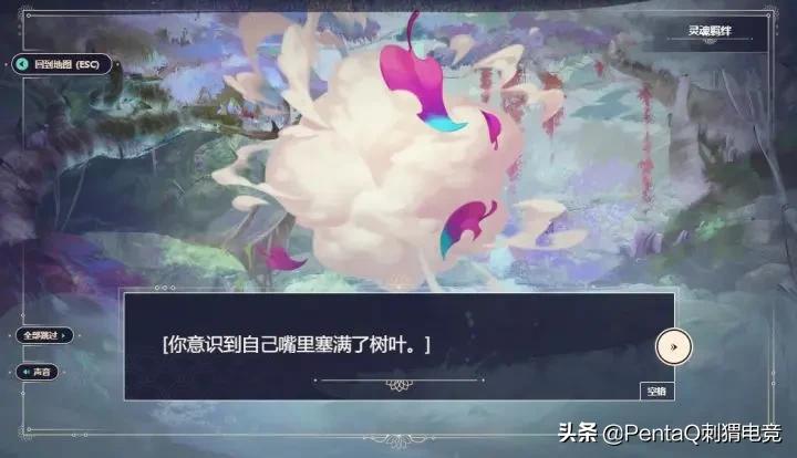 灵魂莲华锤石蠢狸猫,你的调皮小可爱已上线图片