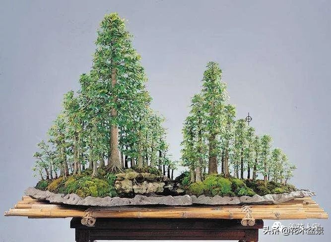 让你从厨艺小白变大神的100道菜,教你如何从一个小白变成大神