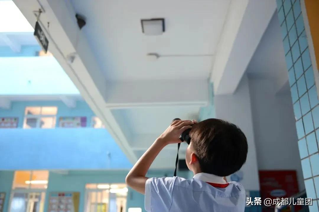 生态园的青蛙，屋檐上的燕子……都是成都这所小学的“校宠”