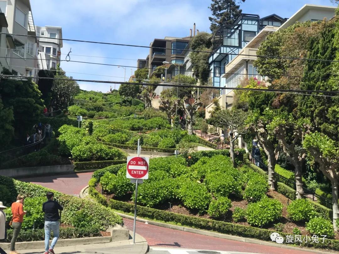 加州沿海1号公路自驾游散装系列（一）：阳光北加的金山依旧