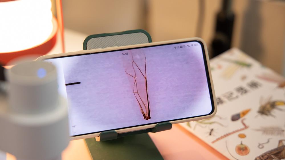 当当狸智能显微镜儿童便携式,当当狸智能显微镜测试