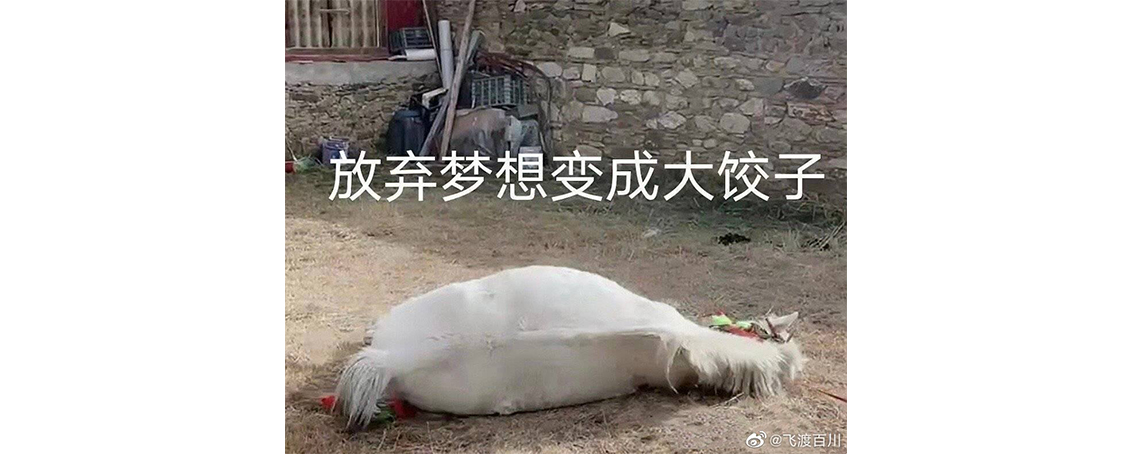 我啃老，摸鱼，伴富婆，治好了多年的内卷