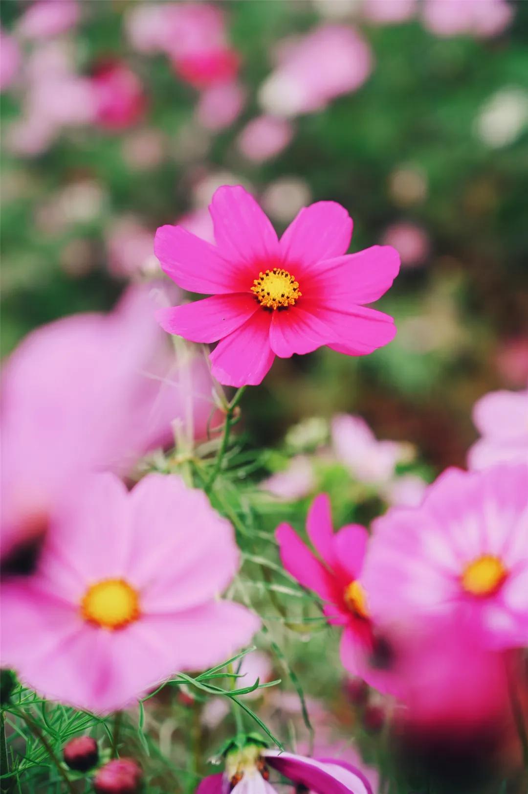 在济南花式避暑，一见“清”心！只需一瞥，便足以把酷夏原谅…
