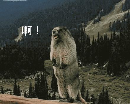 麦当劳88会员节火爆餐厅,麦当劳88会员节每天可以领多少券