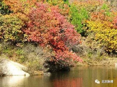北京国家森林公园风景,画说北京故事