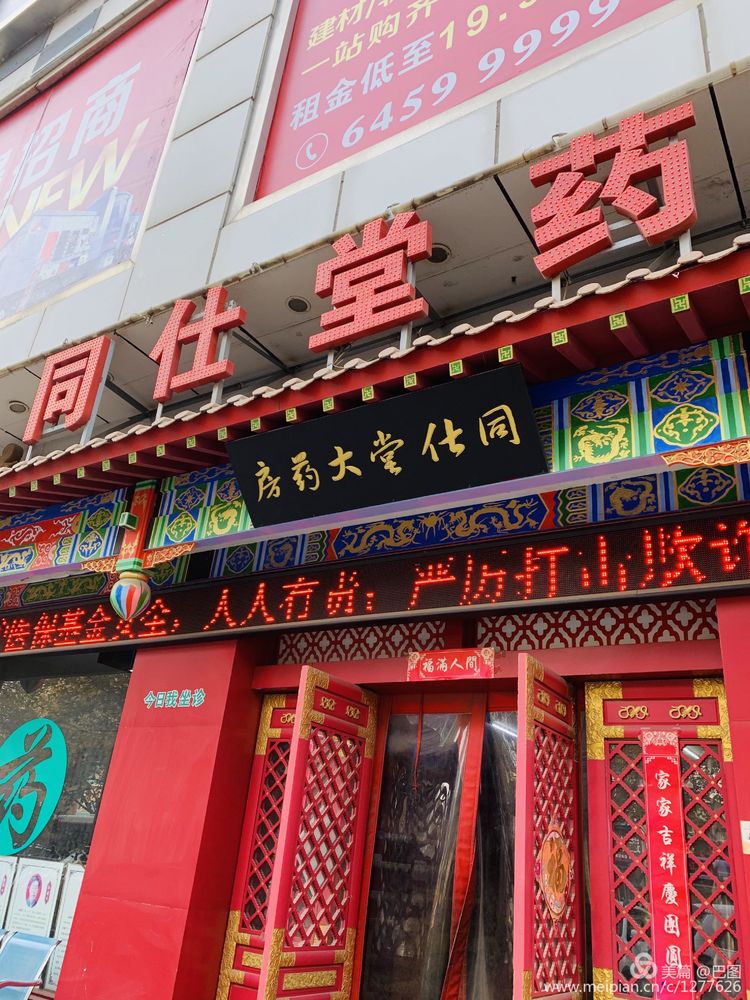 涧西牡丹广场老照片,洛阳牡丹手机拍照