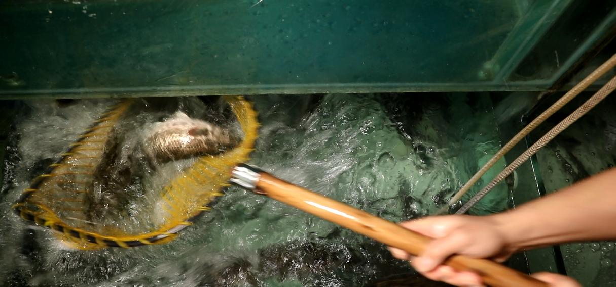 蓉鱼川菜馆,蓉鱼