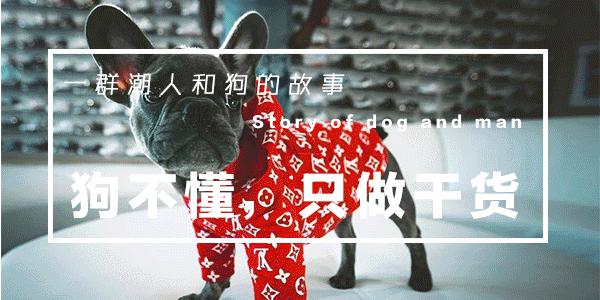 狗腿上有老茧？都是主人的祸