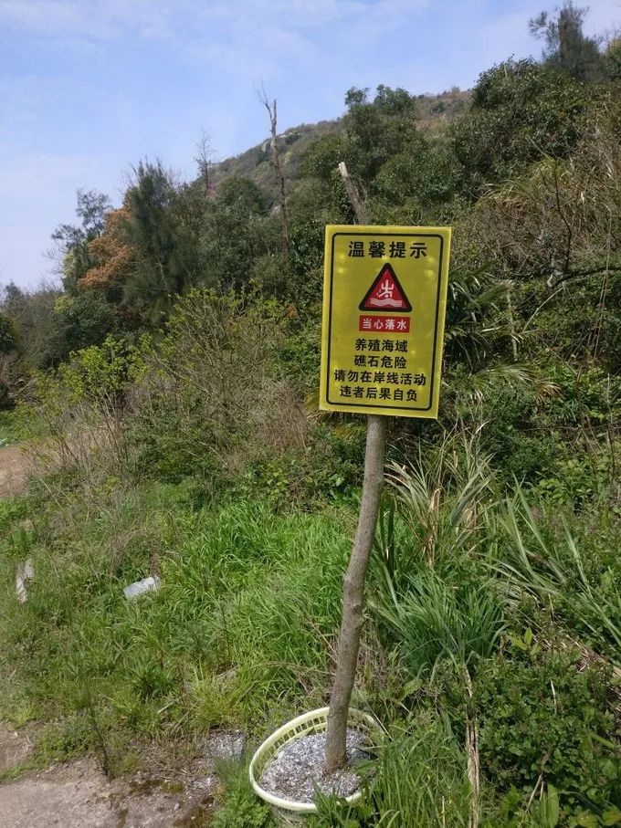 上海自驾舟山桃花岛游路线推荐,从上海去桃花岛如何安排行程