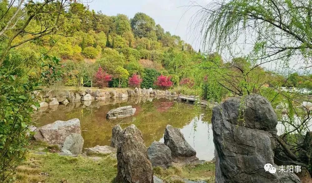 迎接校园里的百花齐放,教室窗外百花齐放