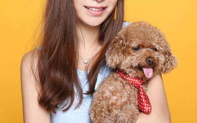 想让泰迪长得小可以少给它喂食吗,如何让泰迪乖乖听话