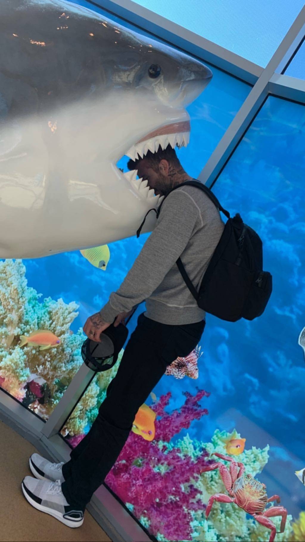 小七格子裙,小七穿搭夏季裙装