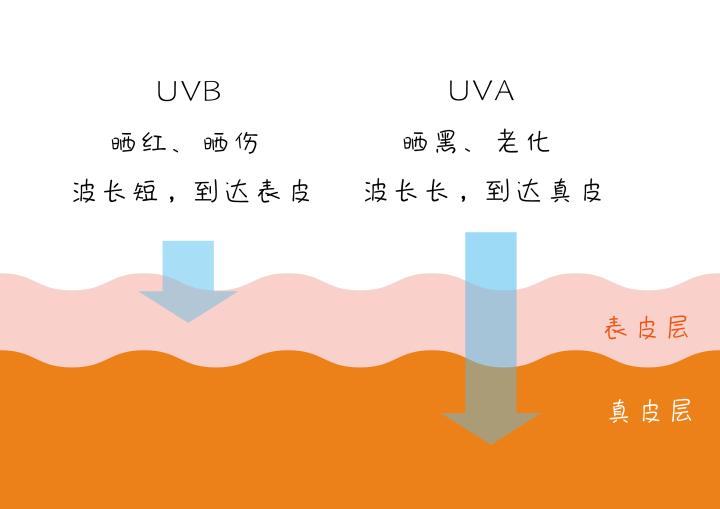 化完妆如何让脸部不那么油腻,化完妆如何让皮肤显得很亮很透