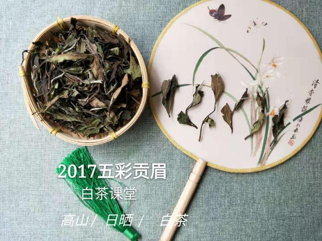收藏白茶茶饼和散茶哪个更好,白茶散茶储存方法视频