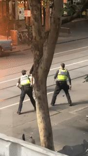 华人在澳洲被辱骂,澳大利亚一群青年当街袭击亚裔