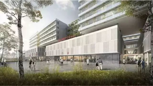 结棍！浦东又双叒叕要爆发了，全上海都得羡慕！