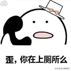 马桶和蹲厕哪个好,蹲厕好还是坐便器好