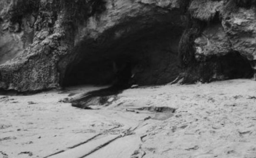 50年代台湾省地下党案件解密,潜伏在台湾的地下党牺牲了多少人