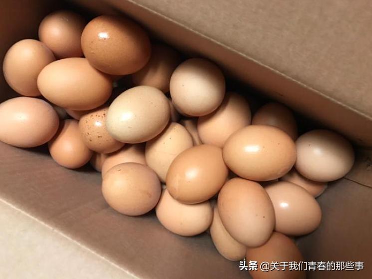 夏天,鸡蛋别放冰箱了!外婆教我2个方法,1个月不坏,和鲜蛋一样