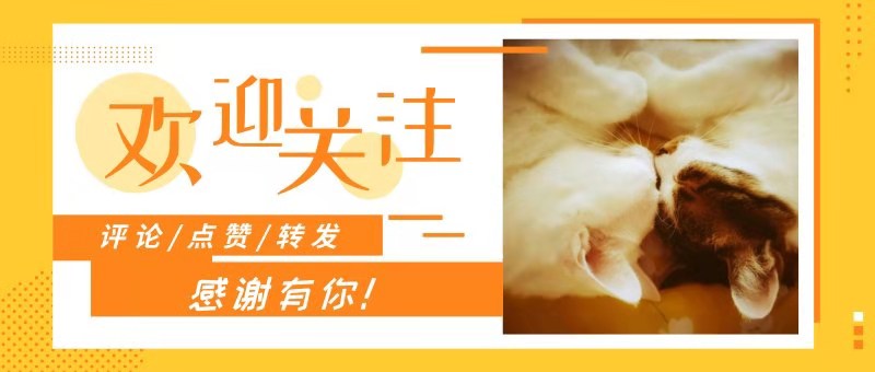 猫是肉食动物为什么它吃猫草,猫咪是食肉动物为什么喜欢吃猫草