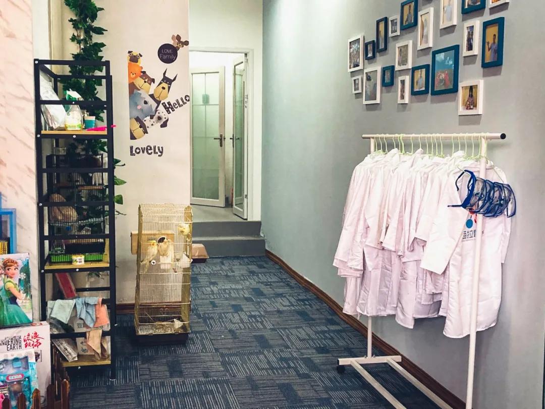 测评丨科学实验课的价格和收获成正比吗？价格不贵的这几家机构怎么样呢？