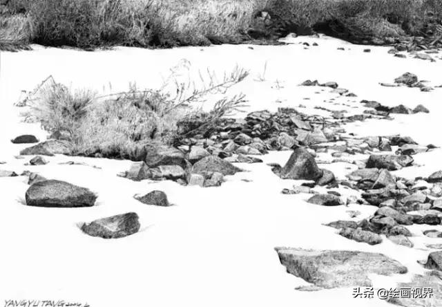 不会画就别学,不会画素描写生